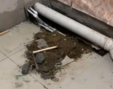 麻栗坡卫生间漏水检测哪家好