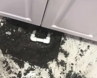 麻栗坡查漏水哪家好